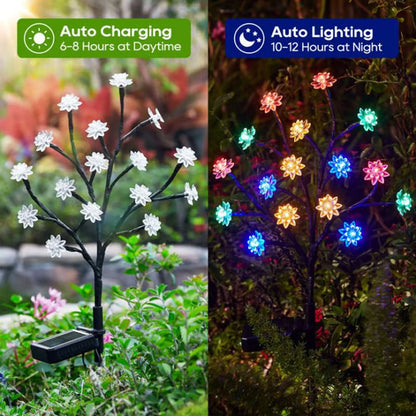 Solar-Powered Weather Resistant Garden LED Light Set