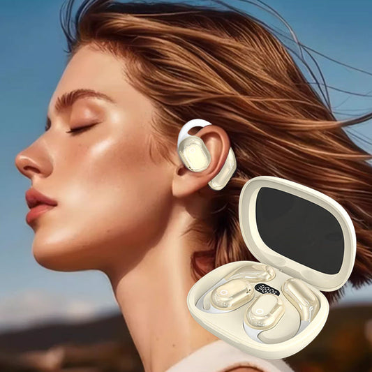 AI Voice Translation Bluetooth Earbuds